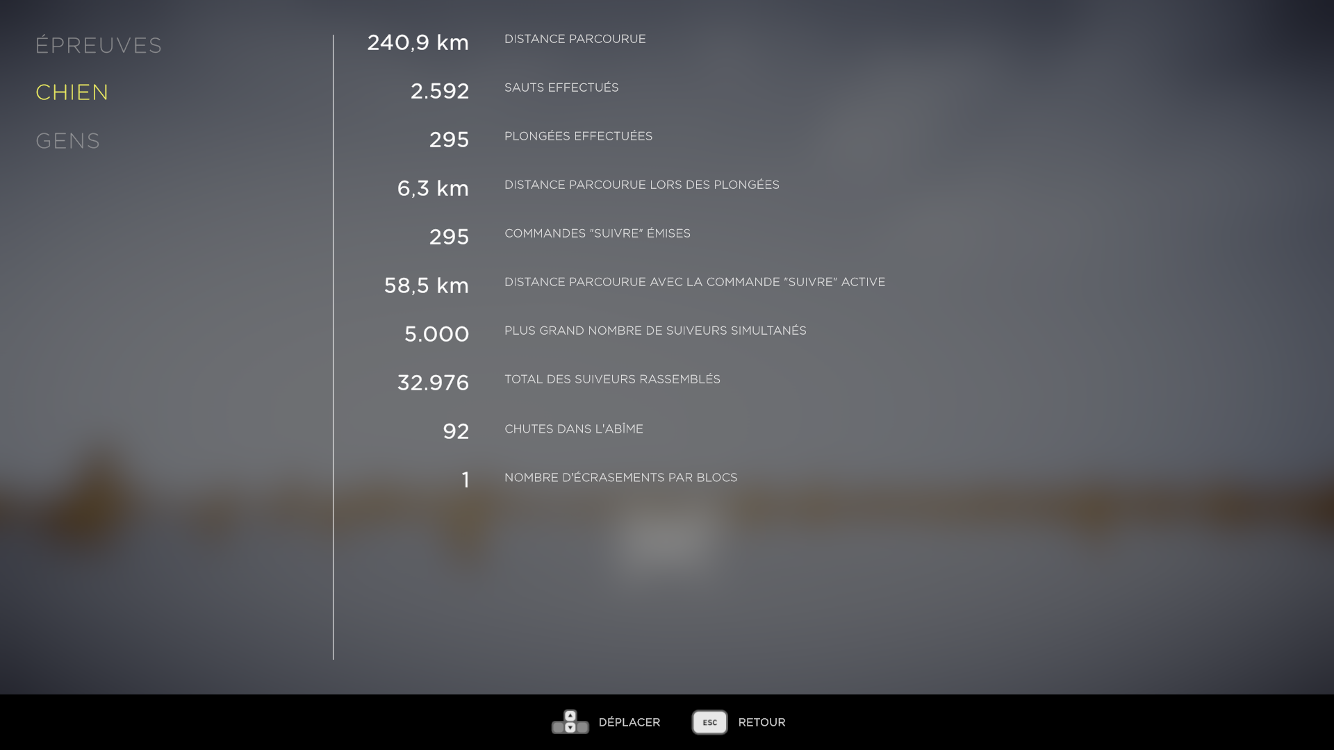 Statistiques du chien
